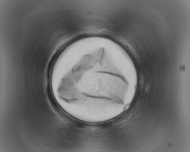 X0000097610582200803281015