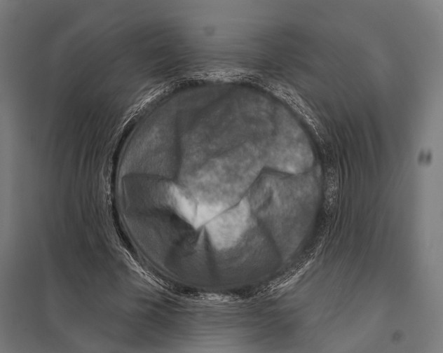 X0000097610585200803281015