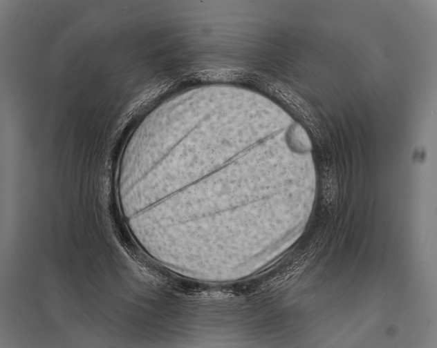 X0000097610586200803281015