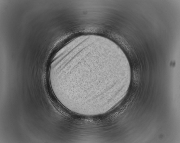 X0000097610588200803281015