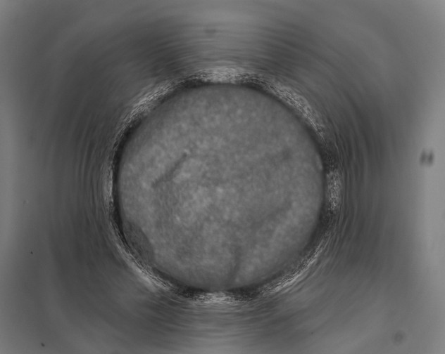 X0000097610589200803281015