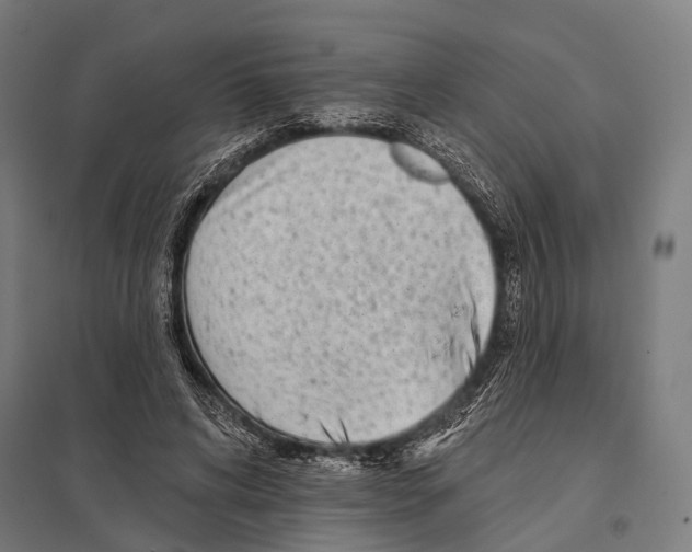 X0000097610592200803281015