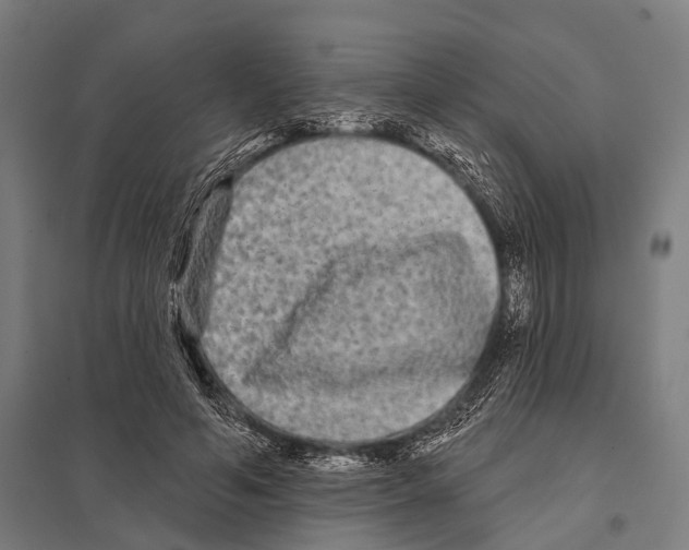 X0000097610594200803281015