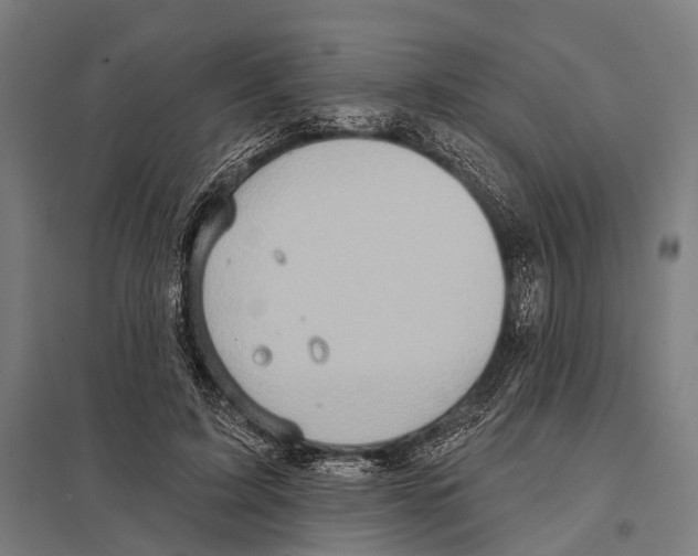 X0000097610595200803281015