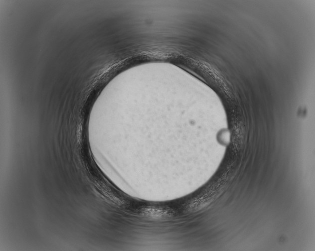 X0000097610596200803281015