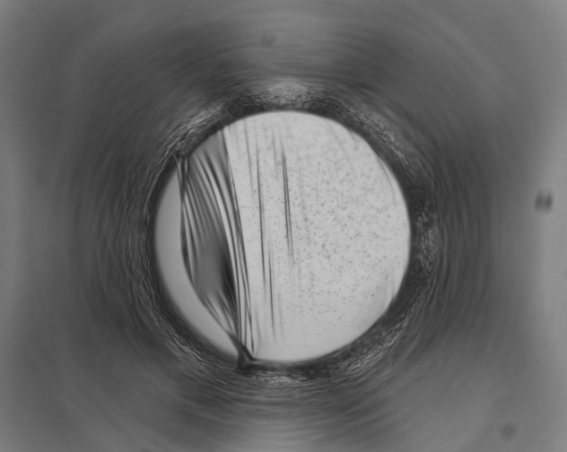 X0000097610597200803281015