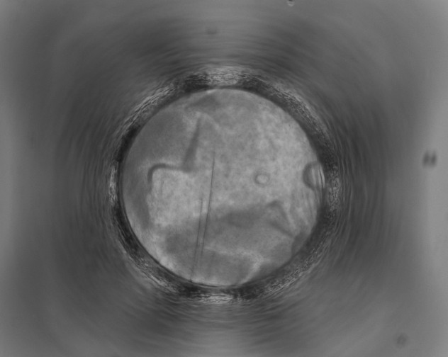 X0000097610598200803281015