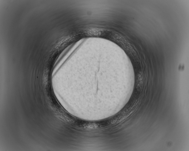 X0000097610600200803281015