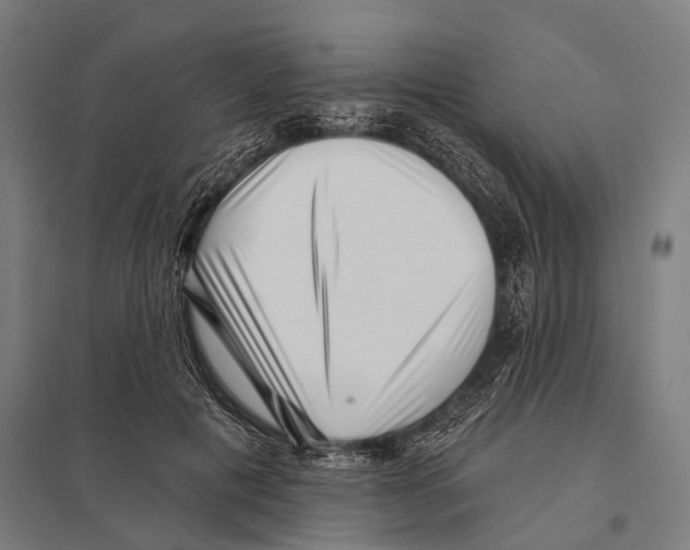 X0000097610601200803281015