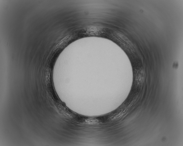 X0000097610603200803281015