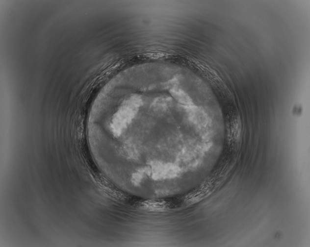 X0000097610606200803281015