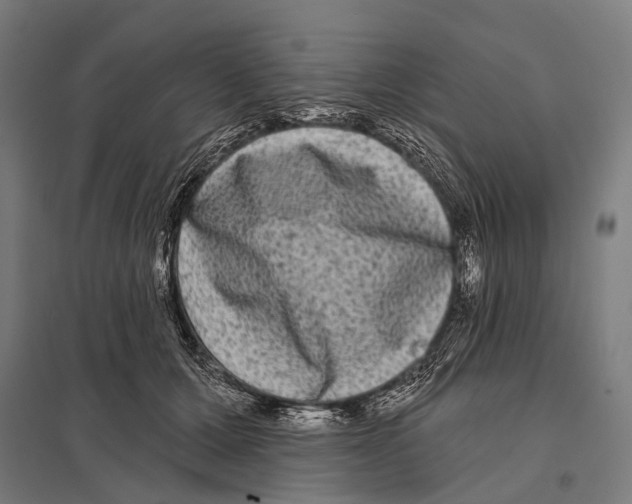 X0000097610607200803281015