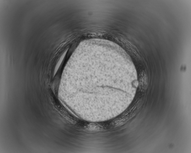 X0000097610608200803281015