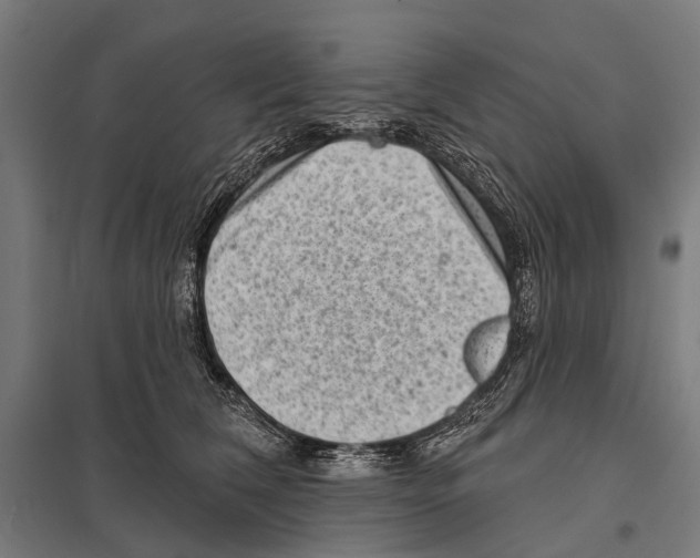 X0000097610612200803281015