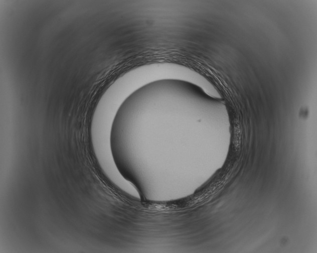 X0000097610613200803281015