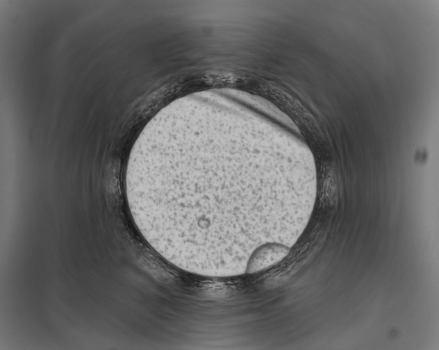 X0000097610616200803281015