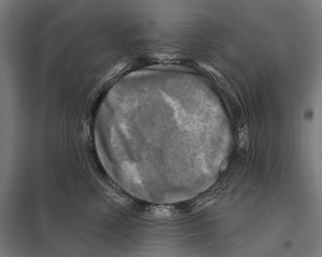 X0000097610618200803281015