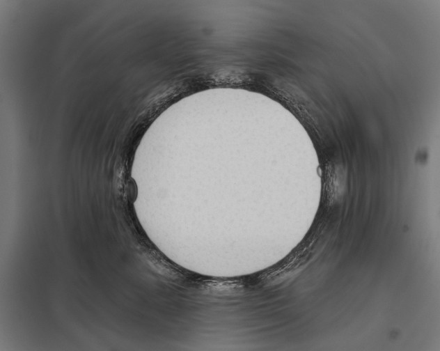 X0000097610619200803281015