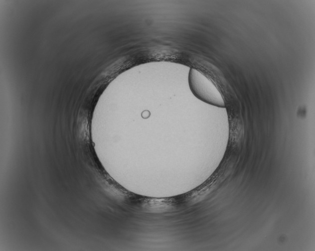 X0000097610622200803281015