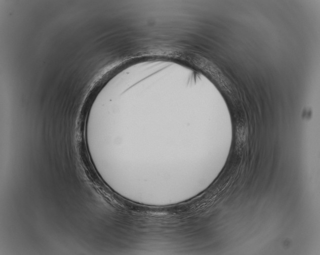 X0000097610628200803281014