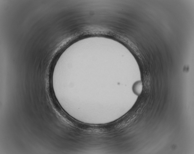 X0000097610629200803281014