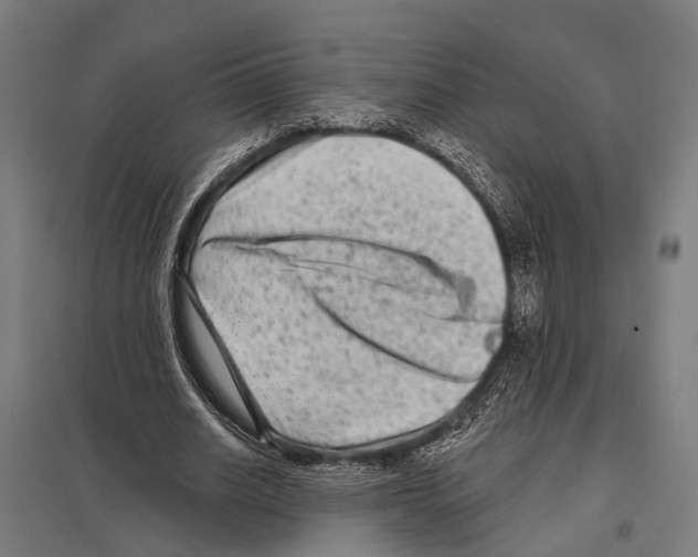 X0000097610630200803281014