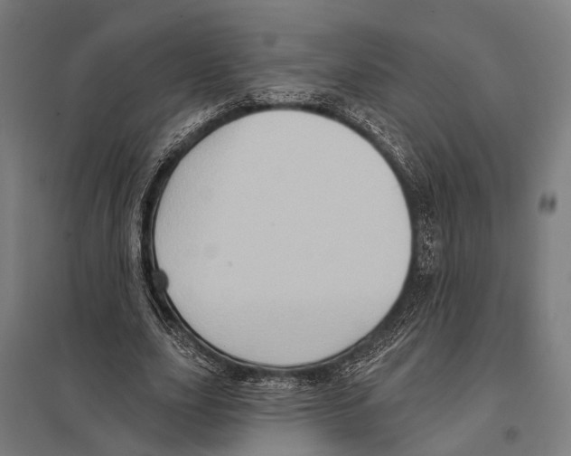 X0000097610631200803281014