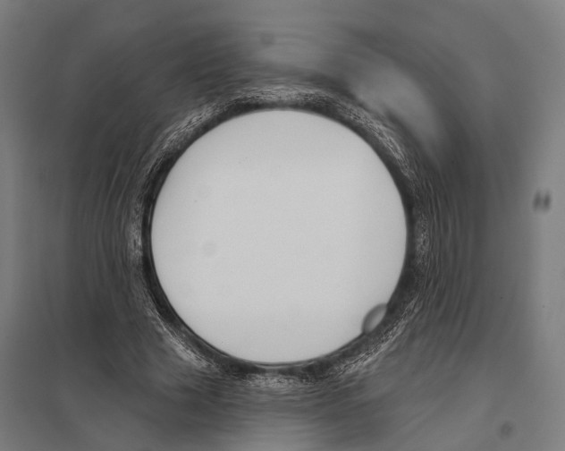 X0000097610633200803281014