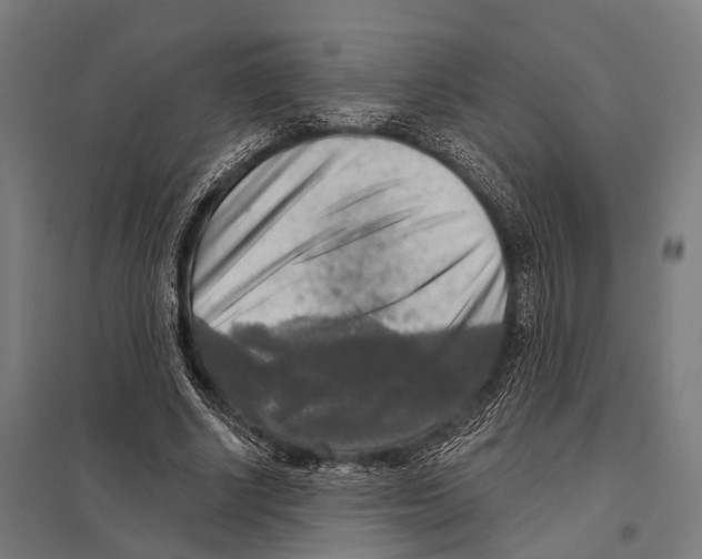 X0000097610634200803281014