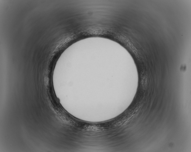 X0000097610635200803281014