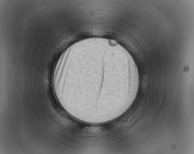 X0000097610639200803281014