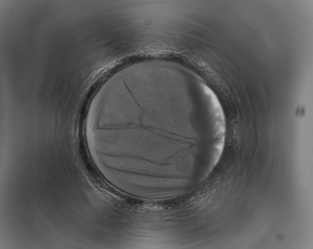 X0000097610640200803281014