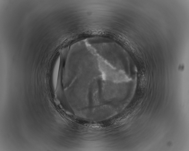 X0000097610643200803281014