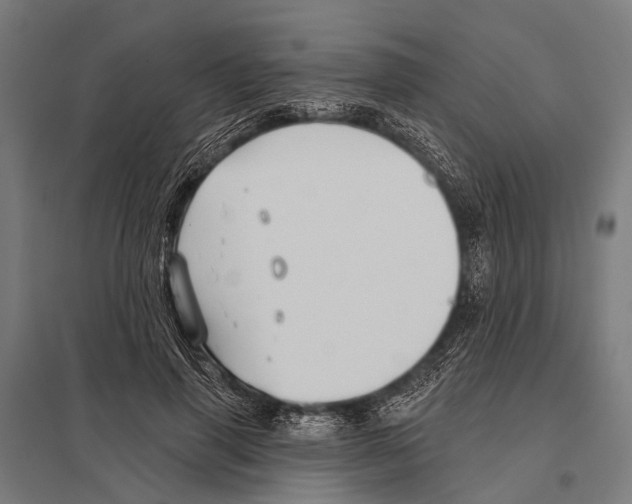 X0000097610645200803281014