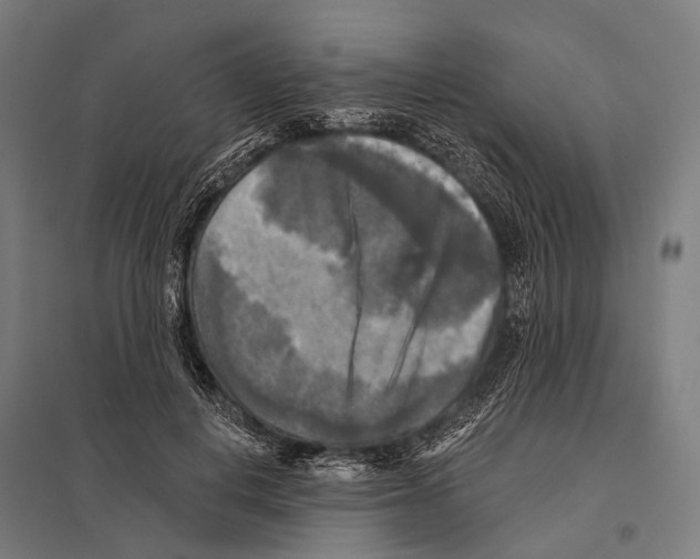 X0000097610648200803281015