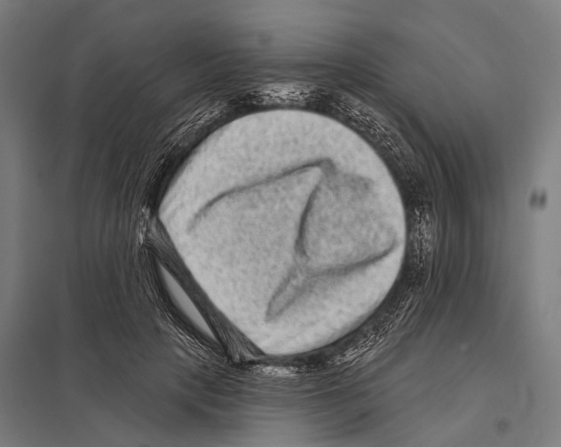 X0000097610649200803281015