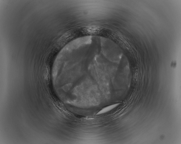 X0000097610651200803281015