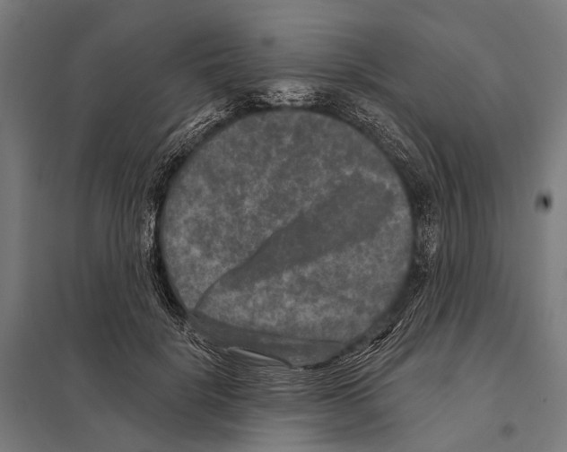 X0000097610652200803281015