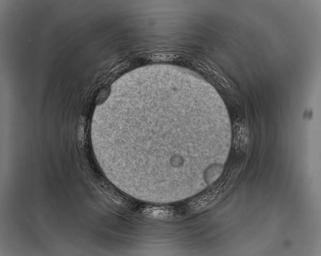 X0000097610655200803281015