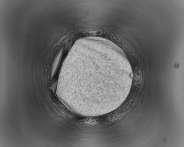 X0000097610656200803281015