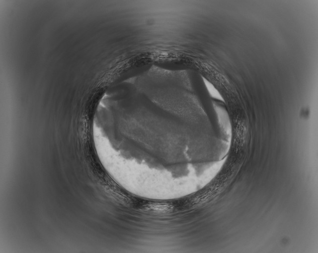 X0000097610659200803281015