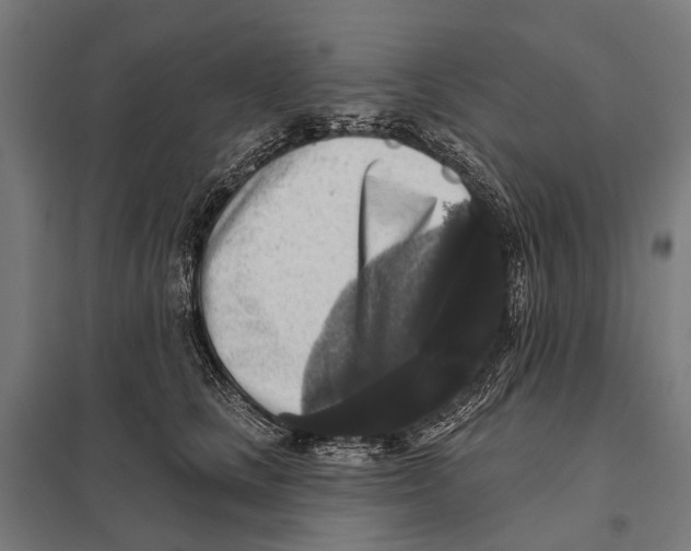 X0000097610661200803281015