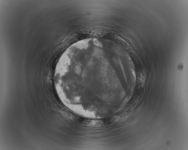 X0000097610663200803281015