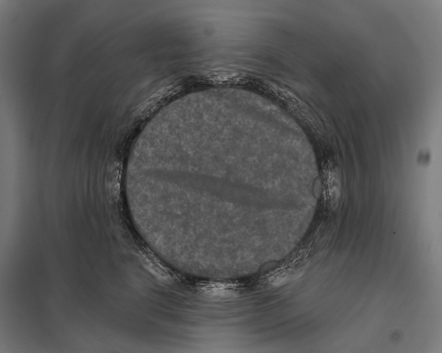 X0000097610664200803281015