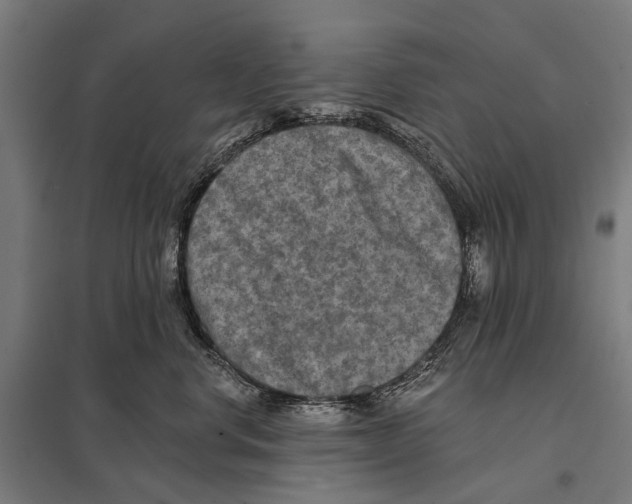 X0000097610668200803281015