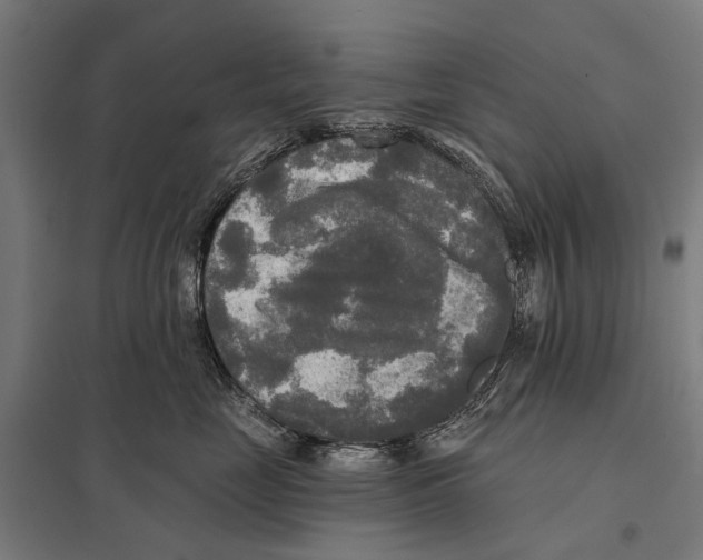 X0000097610669200803281015