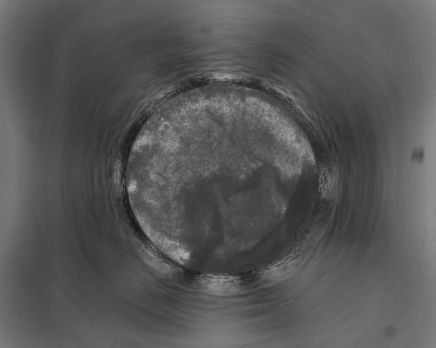 X0000097610670200803281015