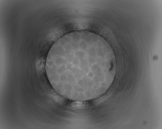 X0000097610672200803281015