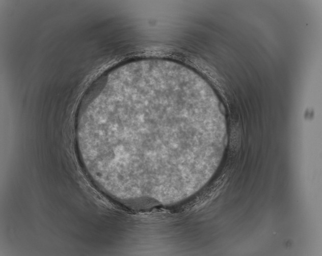 X0000097610673200803281014