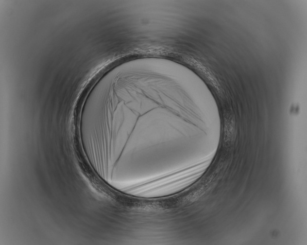 X0000097610674200803281014